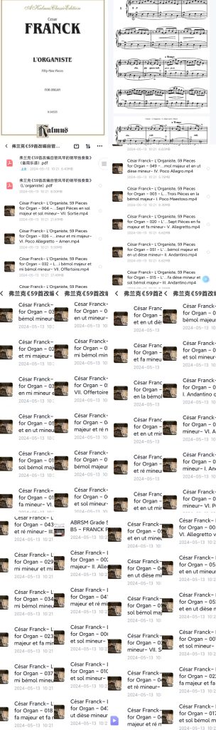 弗兰克《59首改编自管风琴的钢琴独奏集》 好听、沉醉、格调、稀缺 带音频-云音圈