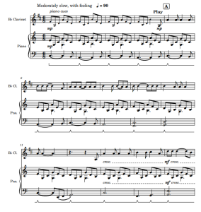 Hallelujah 单簧管钢琴-云音圈