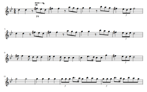 Hava Nagila melody 长笛独奏谱-云音圈