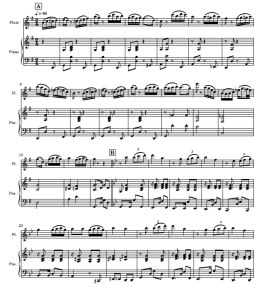 Por una cabeza 长笛钢琴 带分谱-云音圈