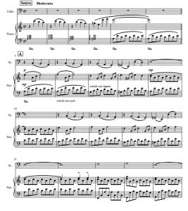 The Meadow 大提琴钢琴 总分谱-云音圈