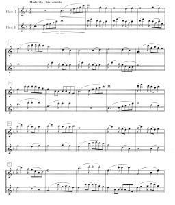 彩云追月  长笛二重总奏  有试听-云音圈