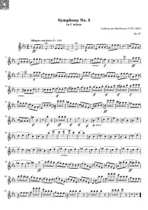 命运交响曲  第一乐章  长笛独奏谱    有试听-云音圈