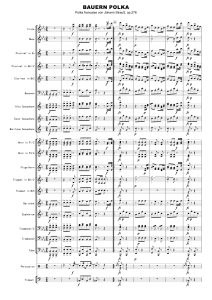 农民波尔卡 OP.257 3级 交响管乐总分谱 1分06 有试听-云音圈