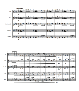 卡门组曲 木管五重奏 总分谱 有试听-云音圈