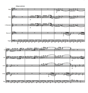 四小天鹅 木管五重奏总分谱  有试听-云音圈