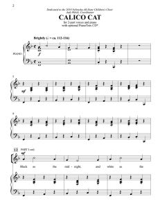 花斑猫 SA 二声部童声女声+钢琴 合唱线谱 有试听-云音圈