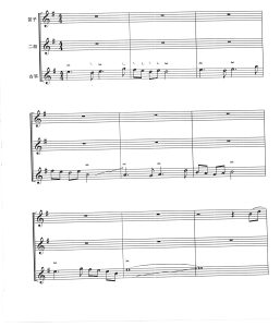 不装饰你的梦  笛子二胡古筝三重奏总谱  G调 3分57秒  简谱+线谱  有试听-云音圈