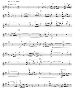 葡萄熟了 二胡独奏谱 带伴奏音频  有试听-云音圈