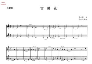 雪绒花  小号二重奏谱  有试听-云音圈
