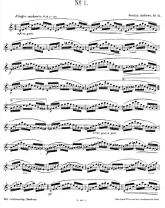 安德森24首长笛练习曲op.15-云音圈