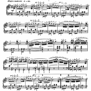 小小流浪者 比赛曲目 钢琴独奏谱 有试听-云音圈