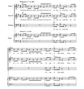 玫瑰再次绽放 阿卡贝拉 TTB 三声部男声无伴奏 合唱线谱  有试听-云音圈