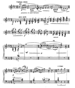 Autumn Leaves 手风琴独奏-云音圈