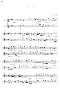 良宵  长笛二重奏谱  有试听-云音圈