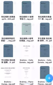 亨乐版 勃拉姆斯作品-云音圈