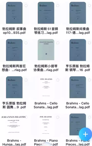 亨乐版 勃拉姆斯作品
