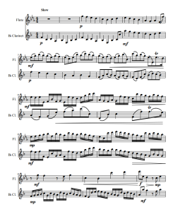 卡农 单簧管长笛总分谱  有试听-云音圈