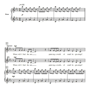 在我的世界里 In My World 帕普里斯版 三部童声女声合唱SSA+钢琴 打击乐 合唱 伴奏音频-云音圈