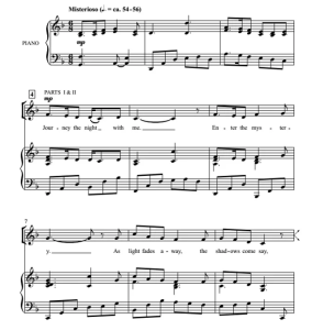 夜之旅 Journey the Night 朗格版 合唱 混声SAB 童声女声SA 伴奏音频-云音圈