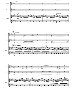 树 Koki SSAATBB 七声部混声+钢琴 合唱  伴奏音频-云音圈