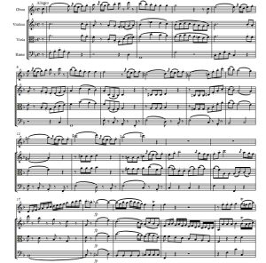 莫扎特 F大调双簧管弦乐四重奏 总谱+分谱  有试听-云音圈