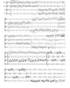 亨德尔  帕萨卡利亚   弦乐四重奏带分谱-云音圈