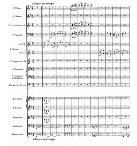 勃拉姆斯 第二交响曲 Symphony No.2, Op.73 管弦乐 总谱+分谱  有试听-云音圈