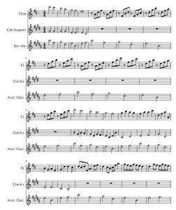 卡农 Canon in D 长笛单簧管萨克斯重奏总分谱  有试听-云音圈