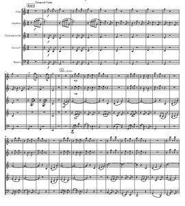 蓝色多瑙河 木管五重奏 总谱+分谱  有试听-云音圈