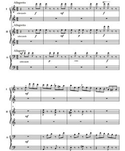 钟 六手联弹谱  有试听-云音圈