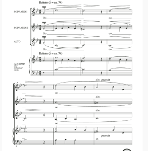 商品为合唱线谱 秋叶 Autumn Leaves 奥康奈尔版 阿卡贝拉 SSA 三声部童声女声合唱 有试听-云音圈