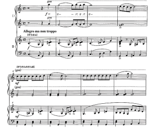 做麻薯的兔子之三只小象 四手联弹谱  有试听-云音圈