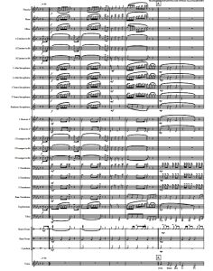 君王的赞美 管弦乐总谱+分谱 有试听-云音圈