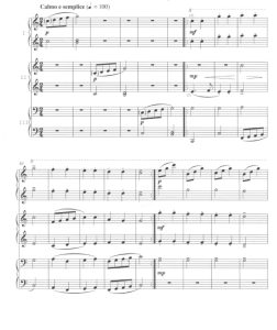 小星星 六手联弹 简易版  有试听-云音圈