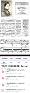 亨泽尔特12首沙龙练习曲——为锻炼手指能力而作 带示范视频 练习、比赛都适用-云音圈