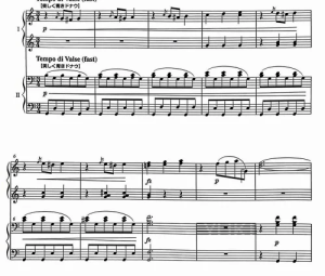 狸猫射箭之去美丽的维也纳蓝色森林 四手联弹谱  有试听-云音圈