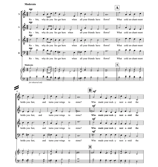 商品为合唱线谱 鸟儿的传说 Legend of The Bird 四声部混声合唱SATB+钢琴  有试听