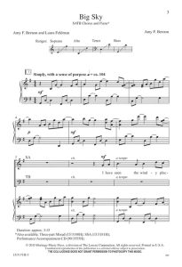 商品为SATB 四声部合唱线谱 Big Sky 混声合唱谱 有试听-云音圈
