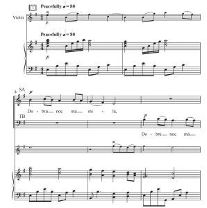 商品为SATB 四声部合唱线谱 Dobru Noc 斯洛伐克民歌 约翰逊版 混声合唱谱  有试听-云音圈