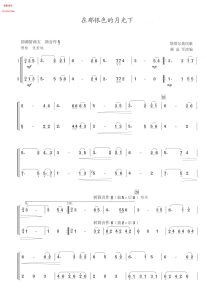 在那银色的月光下  竹笛二重奏  有试听-云音圈