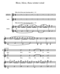 商品为SSA 三声部合唱线谱 不惧冬风凛冽 Blow, Blow, Thou Winter Wind 童声女声合唱SSA+钢琴谱 有试听-云音圈