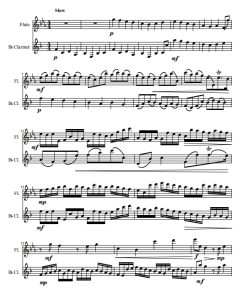 卡农 canon in D 单簧管长笛总谱+分谱  有试听-云音圈