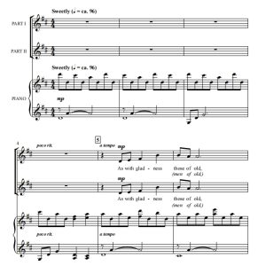 商品为合唱线谱 在圣诞夜 On Christmas Night 格雷版 SA 二声部童声女声合唱  有试听-云音圈