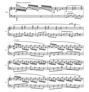 激情之海（权宝英） 钢琴独奏  有试听-云音圈