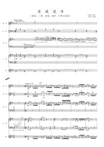 苏堤漫步  曲笛 二胡 琵琶 扬琴 古筝五重奏-云音圈