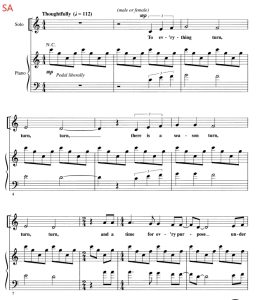 商品为合唱线谱 转转转 Turn! Turn! Turn! 爱默生版 SA 二声部童声女声合唱  有试听-云音圈