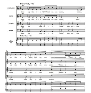 商品为合唱线谱 雄鸡报晓 The Bird of Dawning 奇科特版 阿卡贝拉 SATB 四声部无伴奏混声合唱  有试听-云音圈