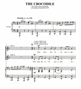 商品为合唱伴奏音频mp3 鳄鱼 The Crocodile 格雷版 合唱伴奏音频 有试听-云音圈