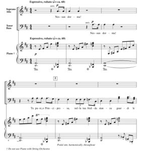 商品为合唱伴奏音频mp3 今夜无人入睡 施奈德版 合唱伴奏音频 有试听-云音圈